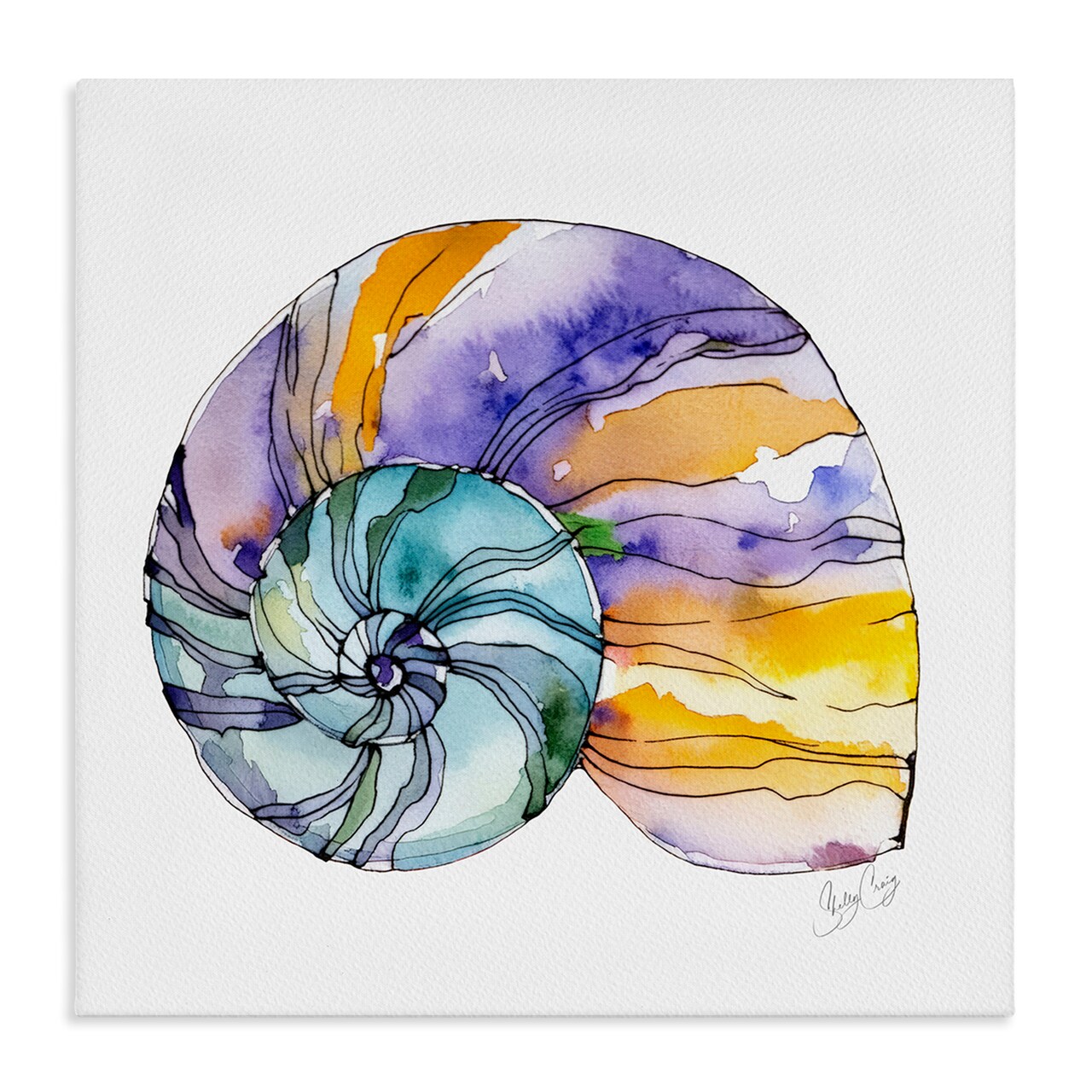 Stupell Industries Sunlit Striped Nautilus Canvas, design by Shelly Craig